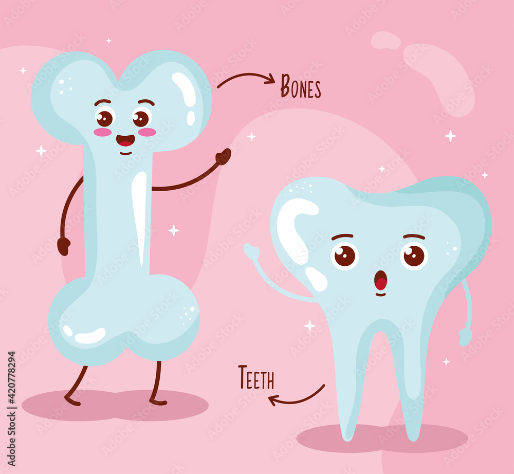 bones and tooth bones and tooth