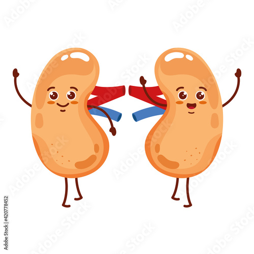 cute organs kidneys