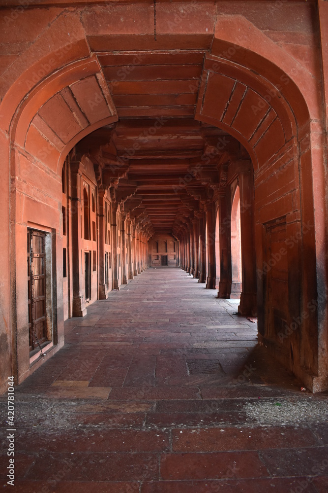 Beautiful a Structures Monuments Gardens with Flowers in Rajasthan