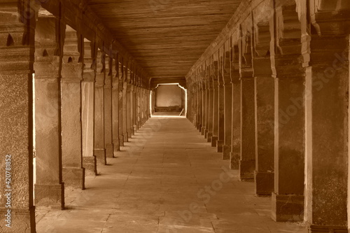 Beautiful a Structures Monuments Gardens with Flowers in Rajasthan