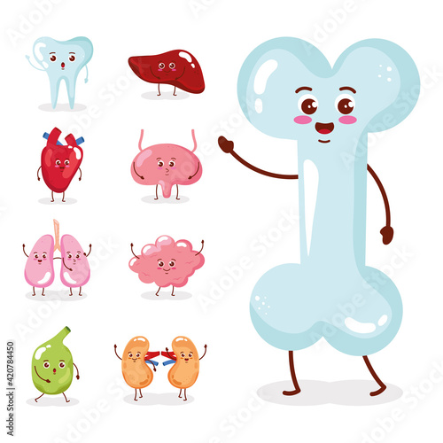 nine cute organs