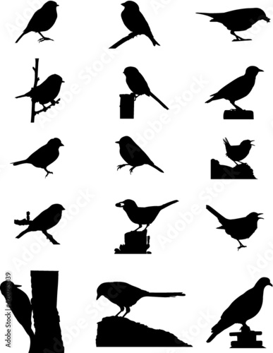 UK Garden Bird Silhouette Illustrations 