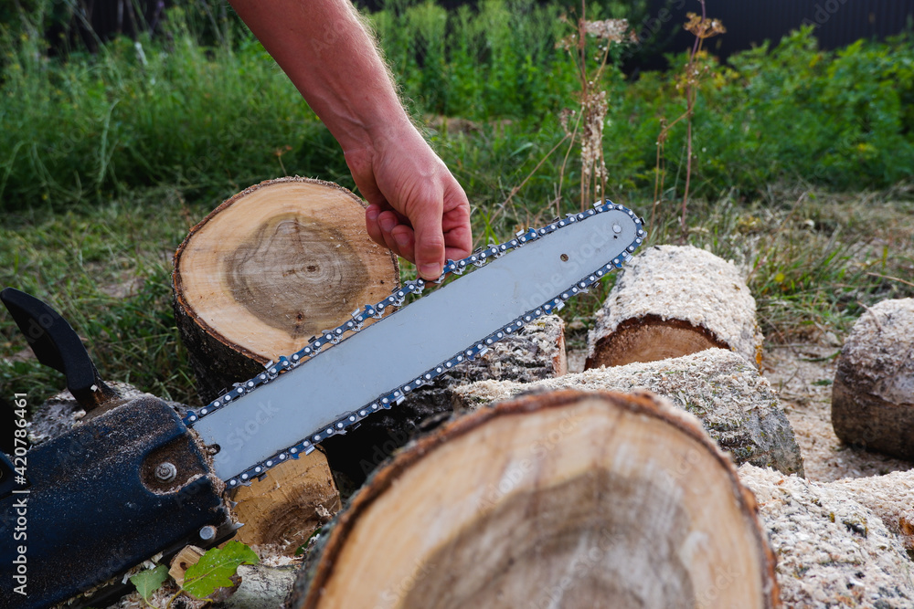 Checking and adjusting the chain tension of the chain saw. A worker checks the tension of the