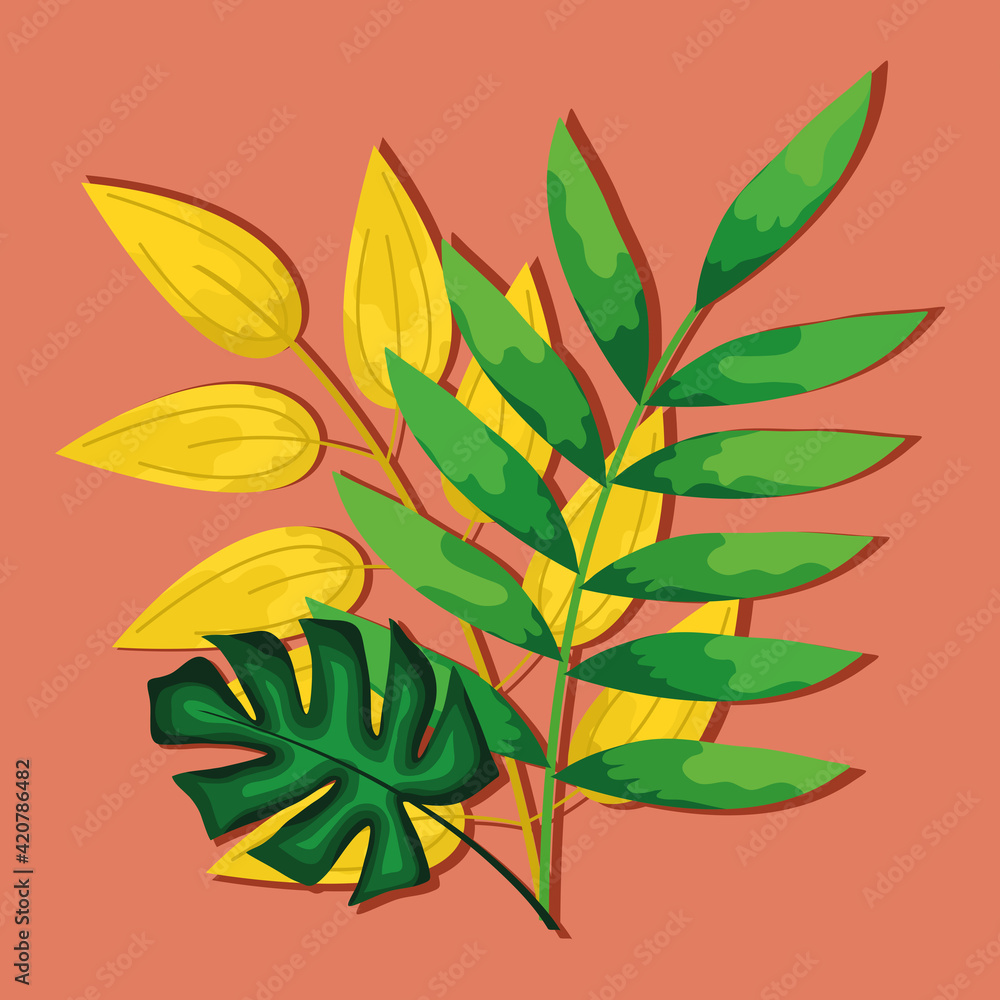 tropical leafs plants