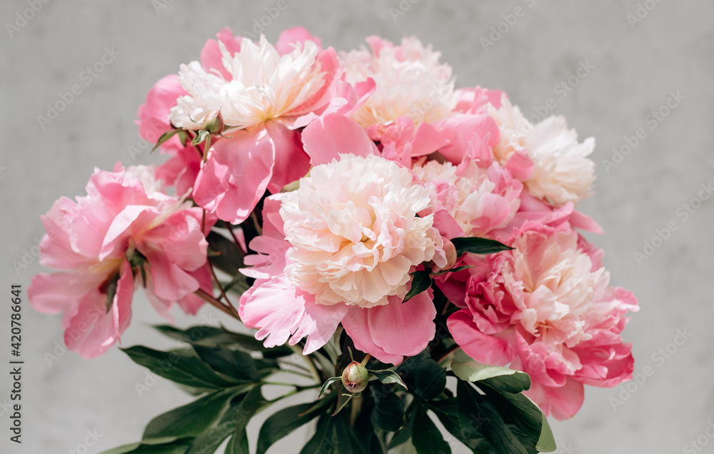 bouquet of pink peonies on a gray background with copy space. still life. womens day or wedding concept. festive background. Soft selective focus. bouquet of pink peonies on a gray background with copy space. still life. womens day or wedding concept. festive background. Soft selective focus.