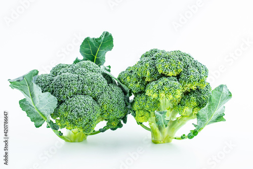 Fresh vegetable broccoli on white background