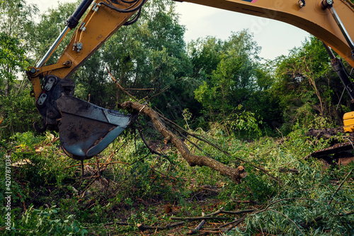 Yellow chain excavators clearing vegetation