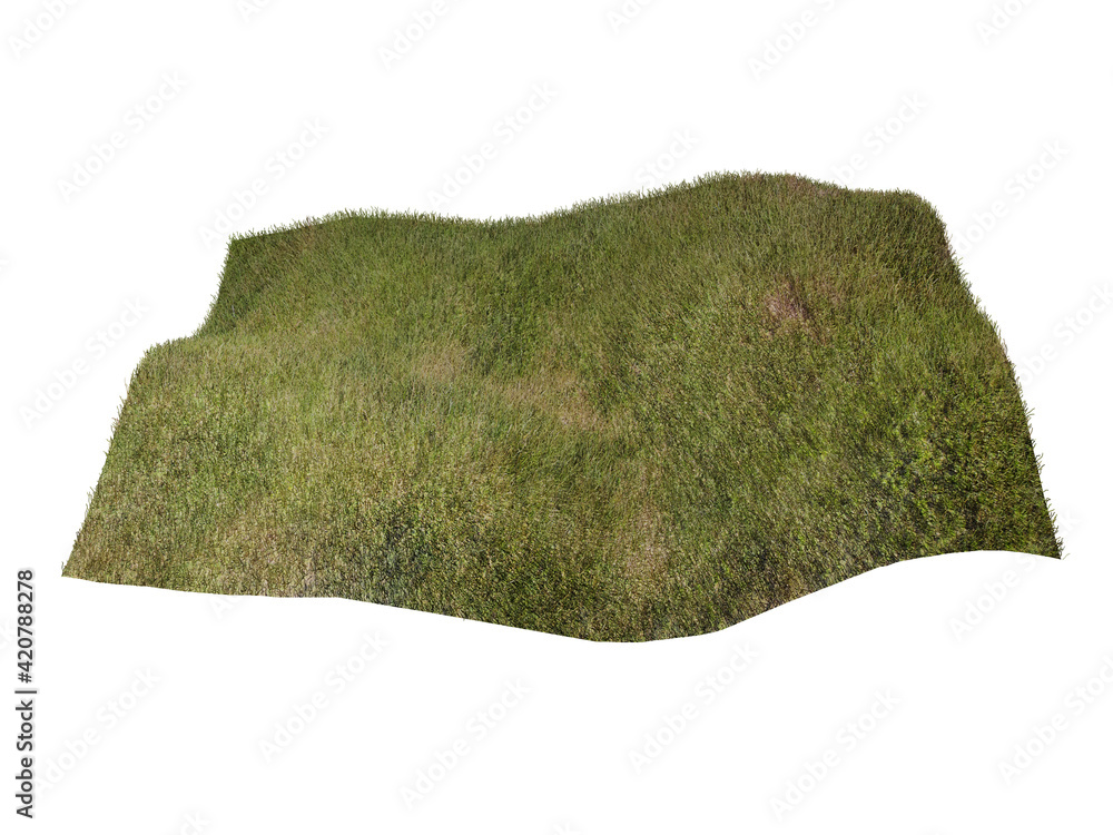 Fototapeta premium Grass isolated on white background. 3d rendering illustration.