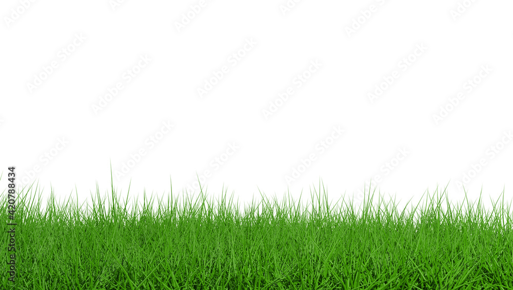 Grass isolated on white background. 3d rendering illustration. Grass isolated on white background. 3d rendering illustration.