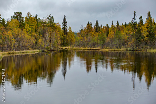 Small forest lake surrounded by autumn colored trees in Finnish Lapland