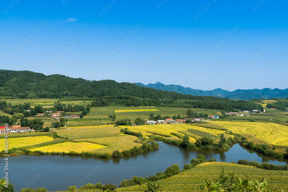 Overlooks the harvest of rice fields and rivers in Benxi, Liaoning Province, China, in autumn. Overlooks the harvest of rice fields and rivers in Benxi, Liaoning Province, China, in autumn.
