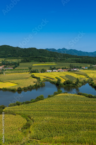 Overlooks the harvest of rice fields and rivers in Benxi, Liaoning Province, China, in autumn.