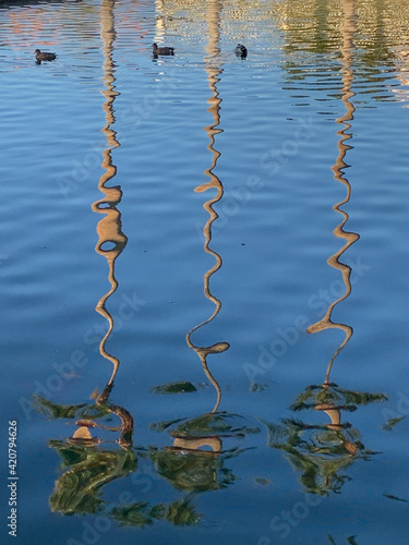Three distorted palm trees mirrored in rippling water.