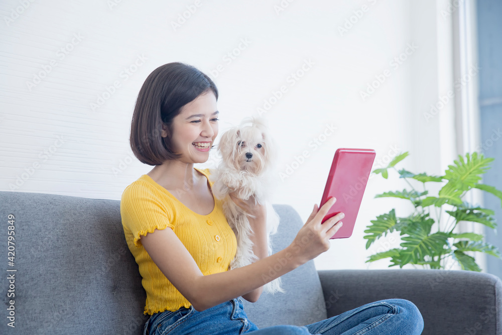Young Asian women working in front of a computer tablet. And was holding a Maltese puppy sitting on the sofa. Young Asian women working in front of a computer tablet. And was holding a Maltese puppy sitting on the sofa.
