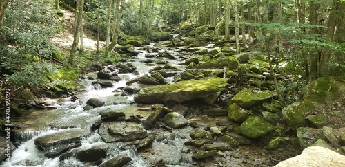 waterfall in the forest