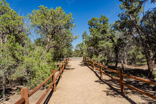 Mesa Verde