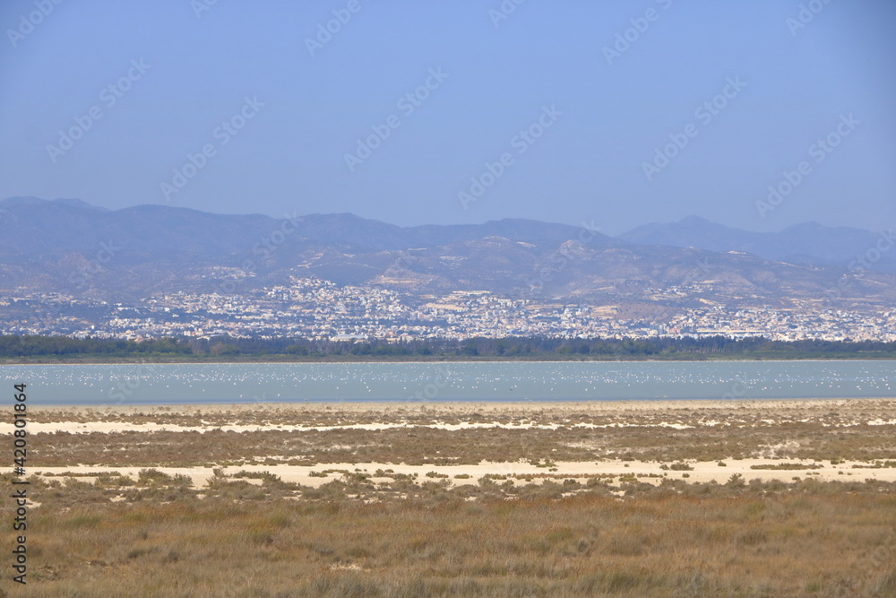 Limassol Salt Lake (also known as Akrotiri Salt Lake) is the largest inland body of water on the island of Cyprus, in Akrotiri and Dhekelia, United Kingdom, an overseas territory