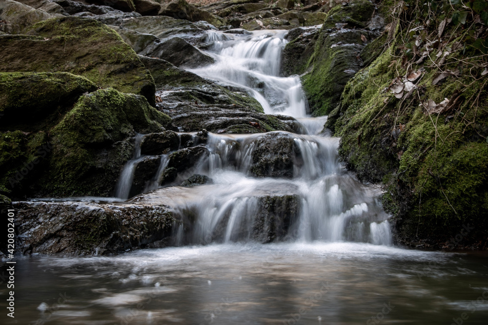 Obraz premium waterfall in the forest