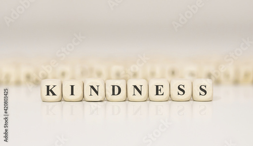 Word KINDNESS made with wood building blocks