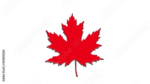 Red maple leaf seamless loop animation and luma matte, alpha channel. Element.