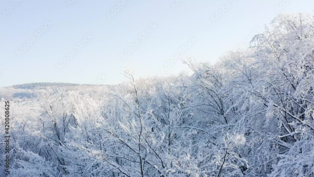 Aerial shot of tree branches covered in snow. Winter holiday mood Aerial shot of tree branches covered in snow. Winter holiday mood
