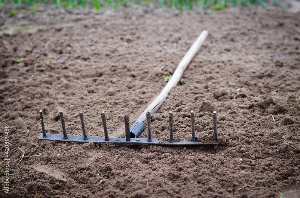 old garden tools for working in the vegetable garden old garden tools for working in the vegetable garden