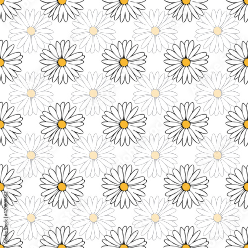 Vector white background white pink floral seamless pattern. Daisies Seamless pattern background