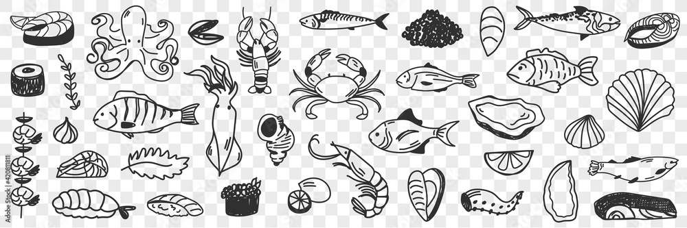 Seafood and fish doodle set. Collection of hand drawn crab shrimp prawn octopus shells caviar squid various fish for making dishes and sushi isolated on transparent background Seafood and fish doodle set. Collection of hand drawn crab shrimp prawn octopus shells caviar squid various fish for making dishes and sushi isolated on transparent background
