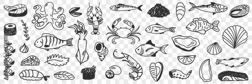 Seafood and fish doodle set. Collection of hand drawn crab shrimp prawn octopus shells caviar squid various fish for making dishes and sushi isolated on transparent background