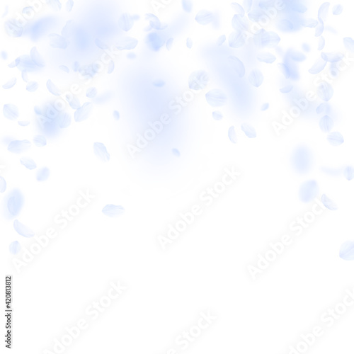 Light blue flower petals falling down. Popular rom