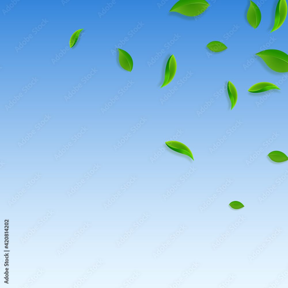 Falling green leaves. Fresh tea chaotic leaves fly Falling green leaves. Fresh tea chaotic leaves fly
