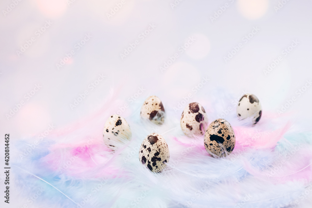 Beautiful Easter composition with quail eggs and multicolour pastel feathers against light background with bokeh lights. Easter-egg background in minimal style with copy space. Selective focus