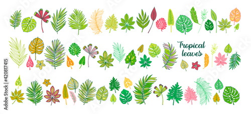 Tropical leaves hand drawn flat illustrations set. Exotic plants sketch cliparts collection. Green leaves cartoon vector drawings. Botanical scandinavian style isolated design elements