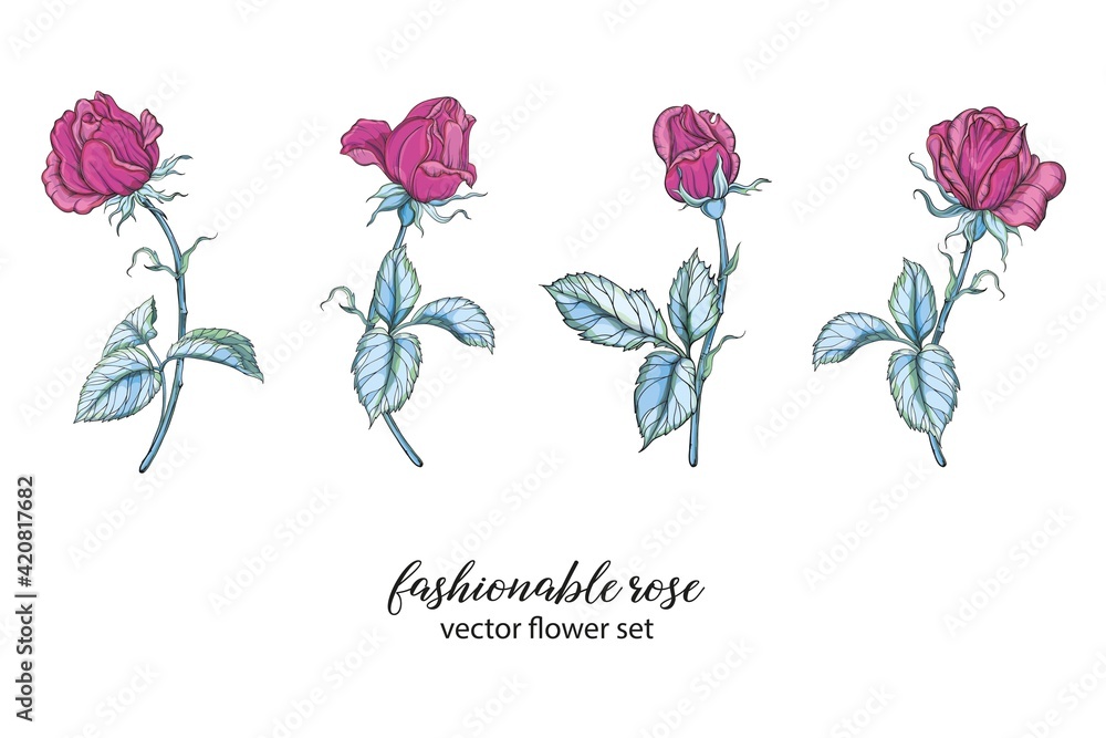 vector set with bright rose colors. Rose is pink.