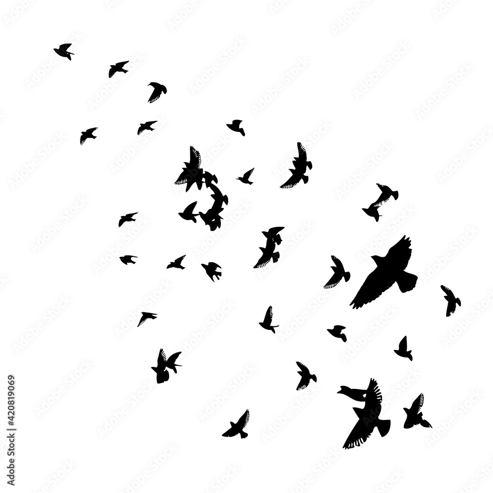 A flock of flying birds. Vector illustration A flock of flying birds. Vector illustration