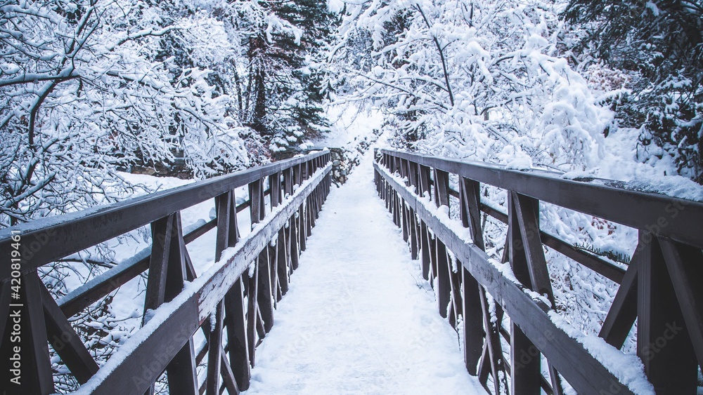 A very beautiful winter bridge in the woods