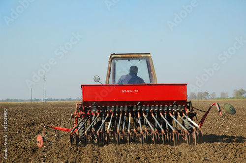 Zrenjanin Serbia sowing wheat photo