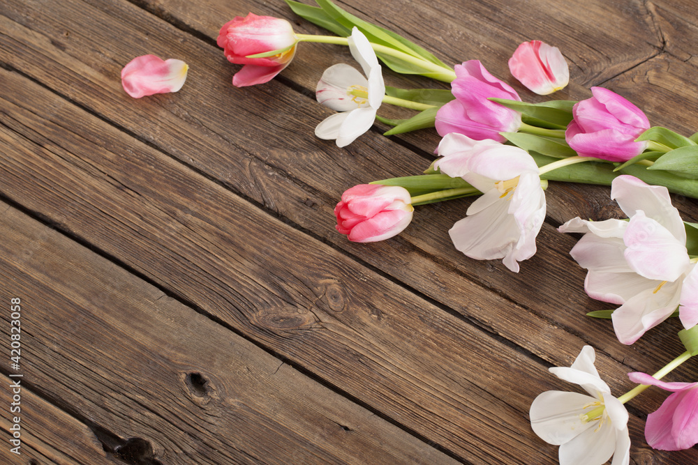 beautiful tulips on old dark wooden background