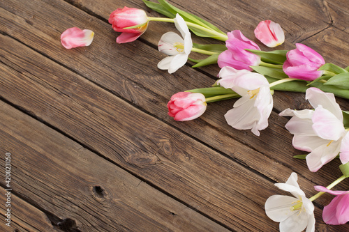 beautiful tulips on old dark wooden background