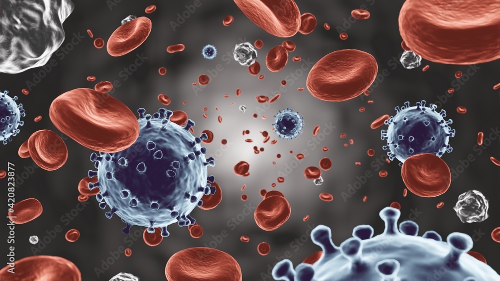COVID-19 . Coronavirus floating on blood stream with red blood cell and white blood cell flowing in vessel . Microscopic view of virus and human cell . 3D rendering . Stock Illustration | Adobe Stock COVID-19 . Coronavirus floating on blood stream with red blood cell and white blood cell flowing in vessel . Microscopic view of virus and human cell . 3D rendering . Stock Illustration | Adobe Stock