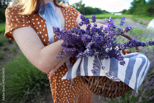 Provence - girl at the lavender field