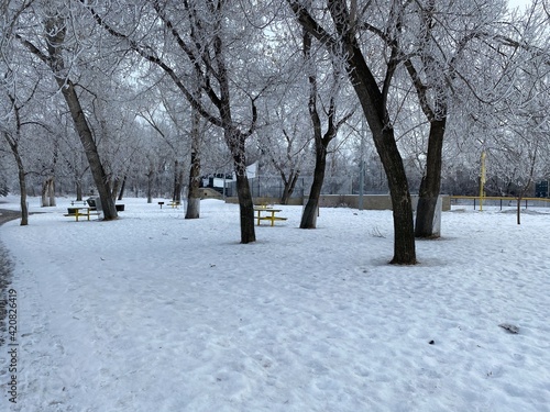 Winter scenery along the parks and walkways of Calgary Alberta