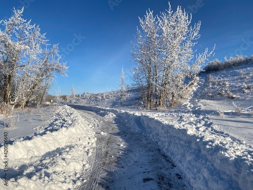 Winter scenery along the parks and walkways of Calgary Alberta photo