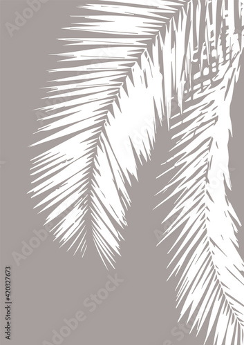 Palm tropical leaves print....