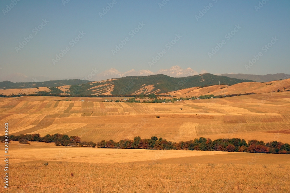 Obraz premium Central Asia. Kyrgyzstan. High-altitude fertile fields of the Tien Shan. Mountain landscape agriculture fields in autumn. 