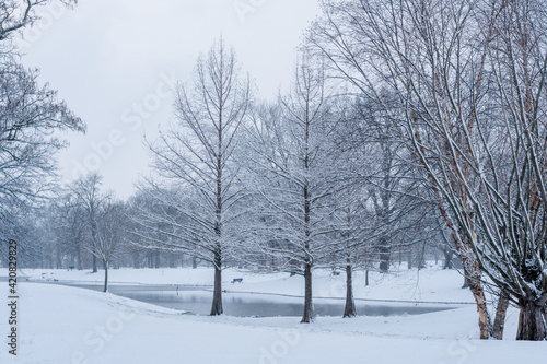 Winter wonderland © Sarah