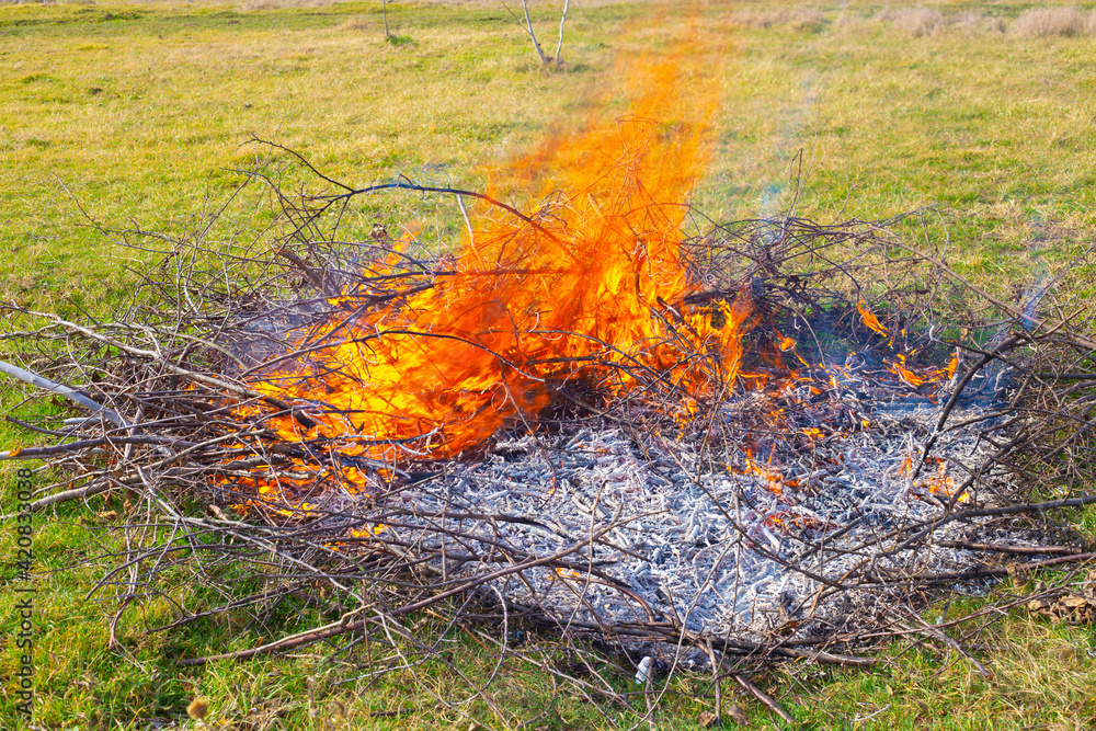 Waste incineration at the summer cottage. Flames from dry burning branches on the field, burnt ashes. Danger of handling fire