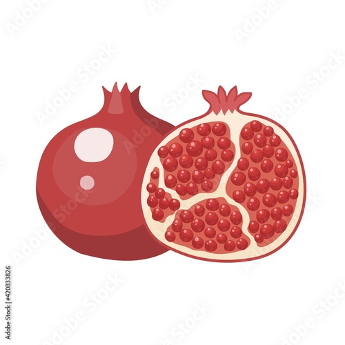 Vector illustration. Whole ripe fruit red pomegranate, cut half sliced garnet. Isolated on white