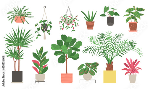 Set of home plants isolated on a white background. Collection of indoor plants in pots. Home decor. Vector illustration in flat style.