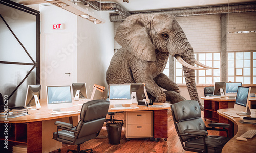 big elephant sitting inside an office.